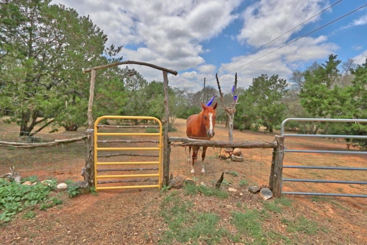 Three Horses Ranch Johnson City Exterior foto